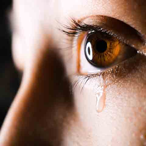 Disappointments – Part 2 — Morning Devotions