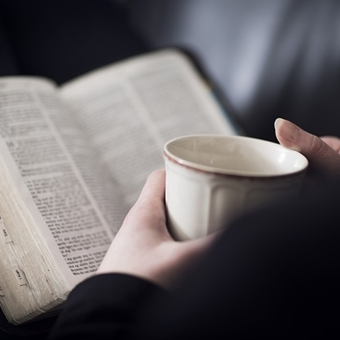 Lessons from Titus, Part 2: “Effective Living” — A Christian Growth Message