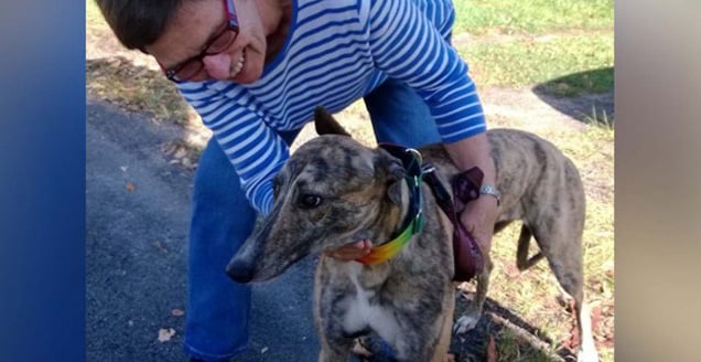 Lorraine Ramsay, greyhound rescuer.