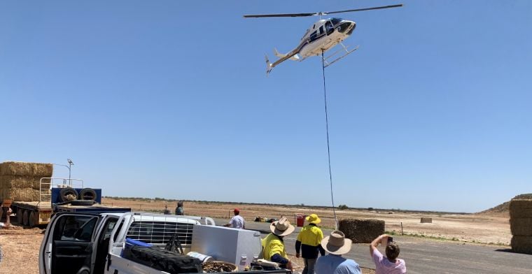 helicopter airlifts a load of haybales