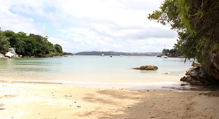 Best of Sydney Beaches 2019 Collins Flat Beach