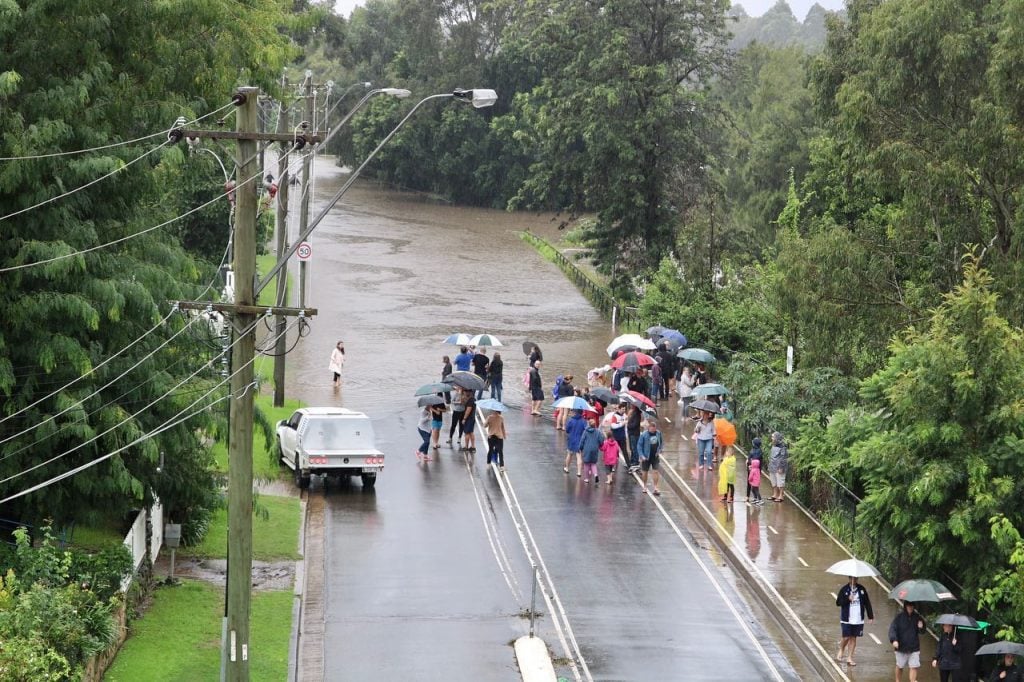 Nepean River Emu Plains Tracy Middleton 10