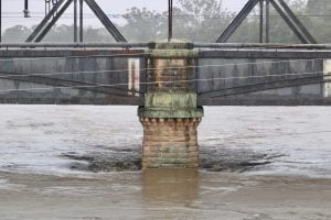 Nepean River Emu Plains Tracy Middleton 13