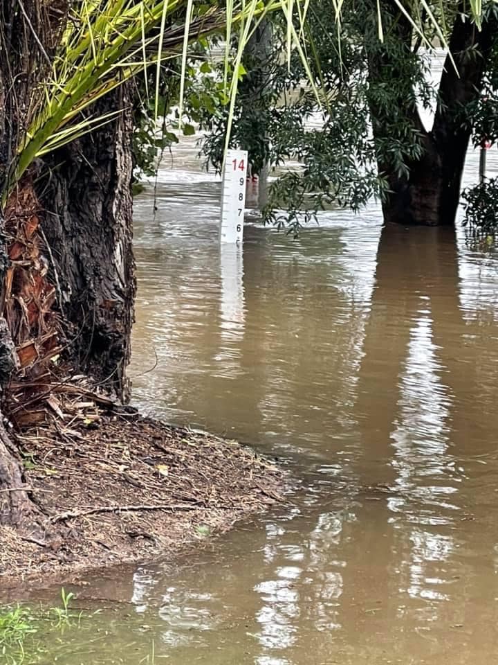 Nepean River Emu Plains Tracy Middleton 2
