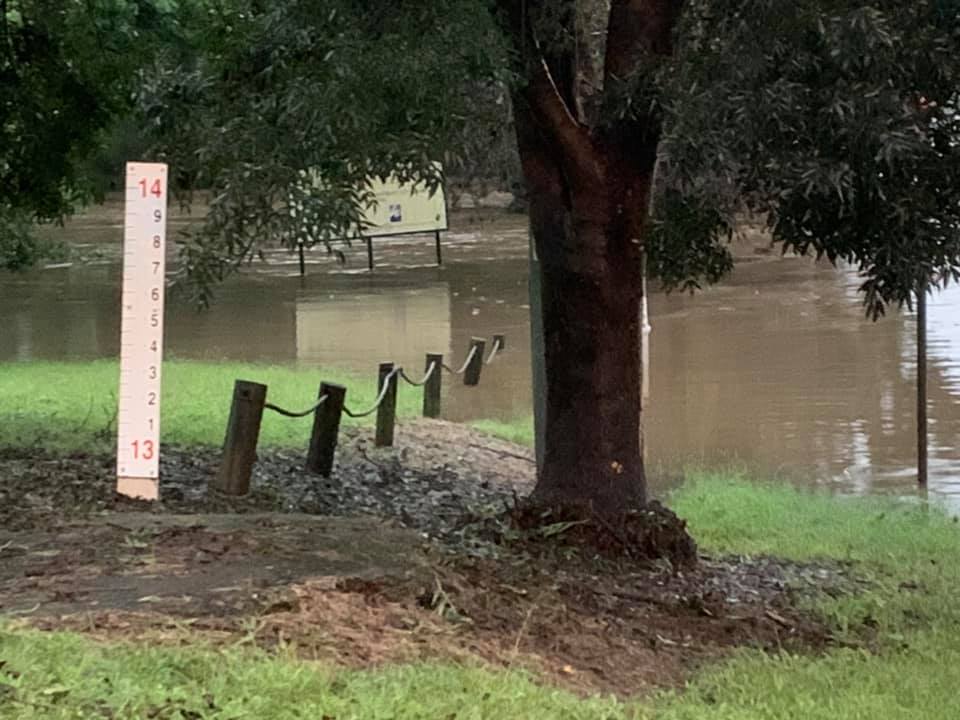 Nepean River Emu Plains Tracy Middleton 6