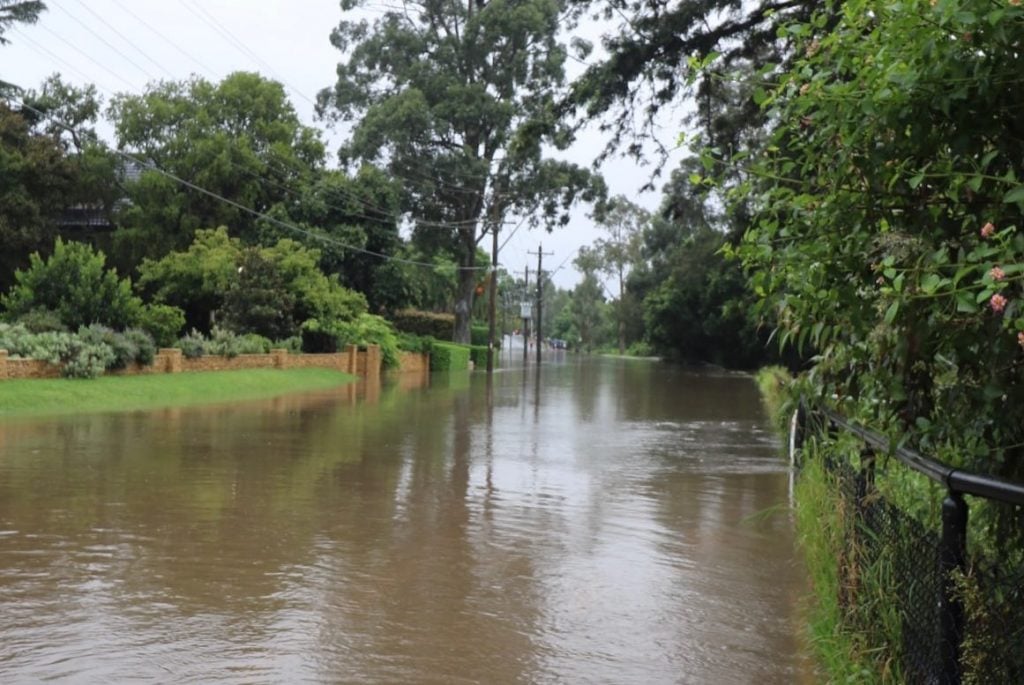 Nepean River Emu Plains Tracy Middleton 9