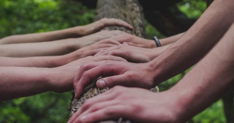 People with hands on a tree -