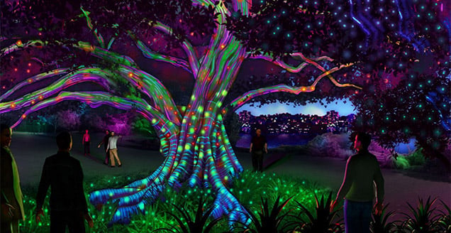 A tree lit up for Vivid at the Botanic Gardens