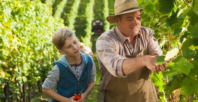 Boy and grandfather in orchard
