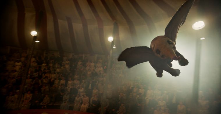 Dumbo flies