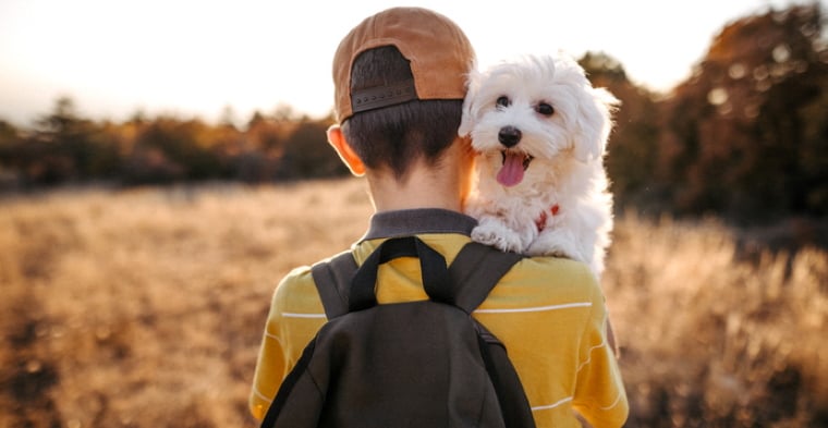 Boy with maltese terrier outside