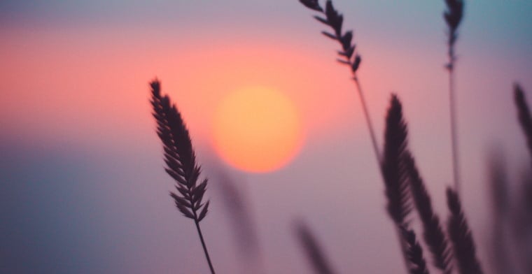 Sunset by ann-savchenko-