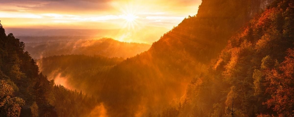 How Grace Comes