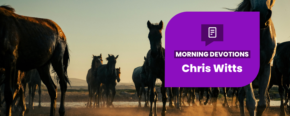 Set Free — Morning Devotions