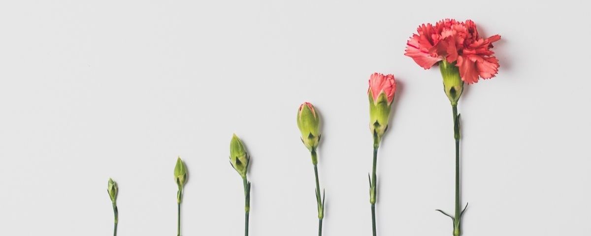 If We Are to Change, It Must Begin With Our Hearts