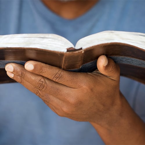 Are You Reading the Bible Right?