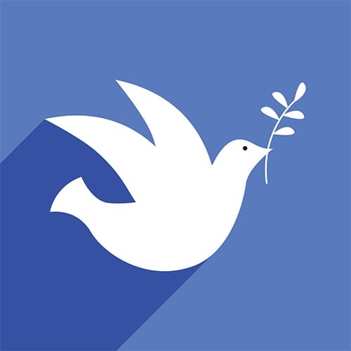 Healing a Divided Australia: Advice from a Professional Peacemaker