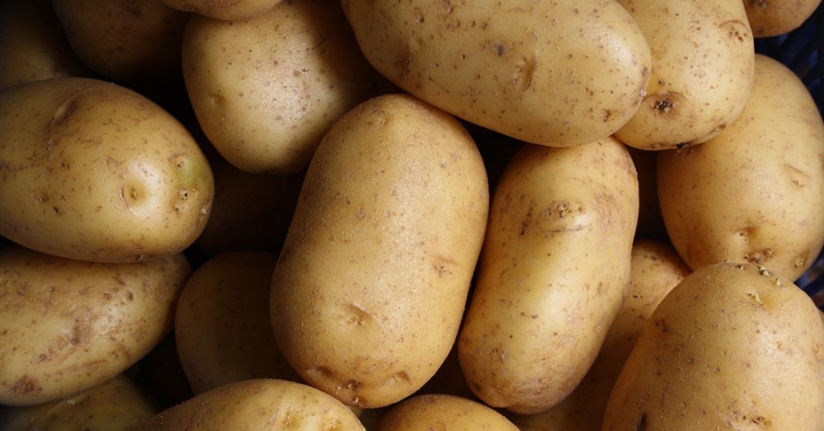 white potato