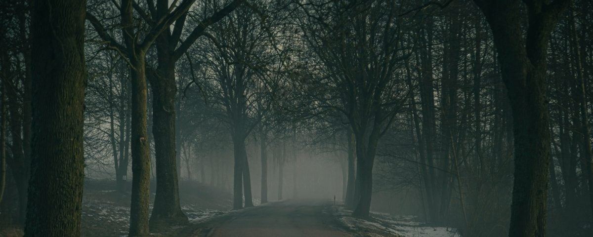 Walking Down The “Road Not Taken” with God