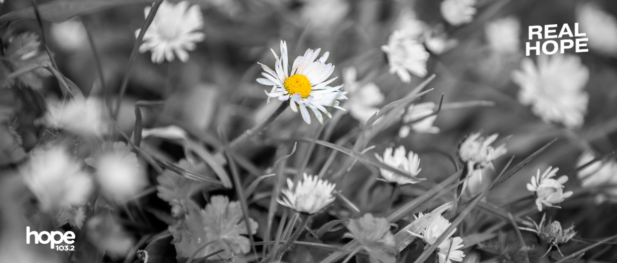 Jesus Is Victorious: Nothing Can Ever Change That