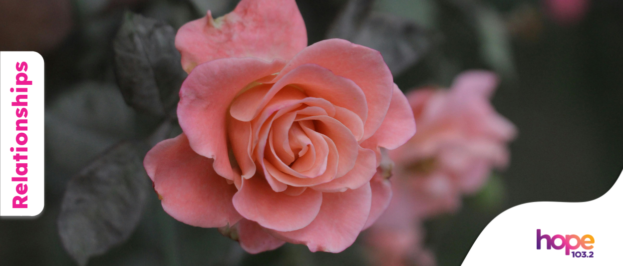 Beyond Roses and Romance: Rethinking Love This Valentine’s Day
