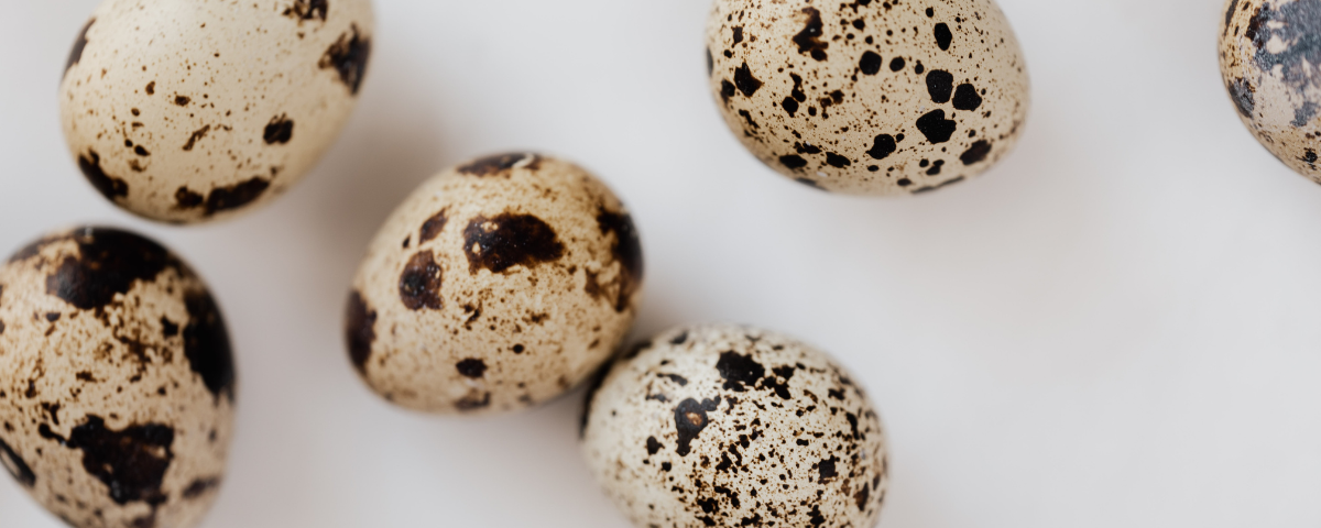 When Life is Like an Egg… and When it Isn’t
