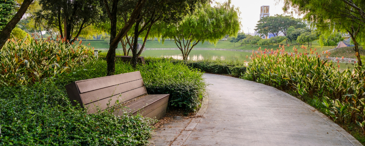 Finding Contentment in Life’s Mundane Moments