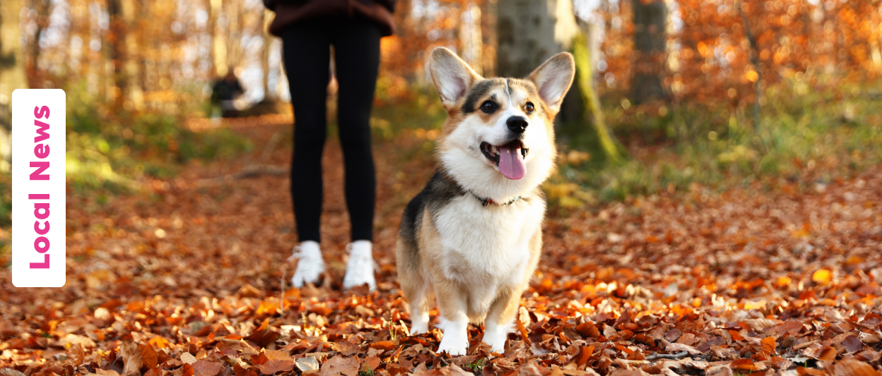 Peak Autumn in Sydney: Walks, Music and Hidden Spots