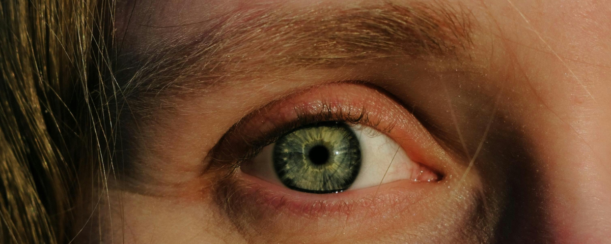Seeing Through Another’s Eyes